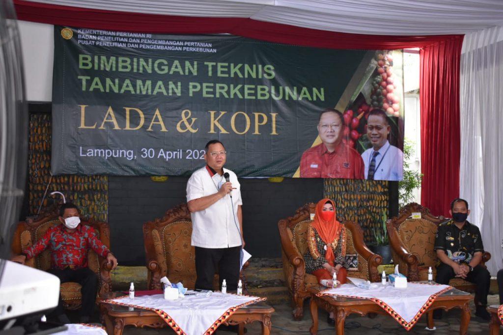 Buka Bimtek Perkebunan Lada dan Kopi, Sudin Sayangkan Hasil Panen Kopi yang Menurun