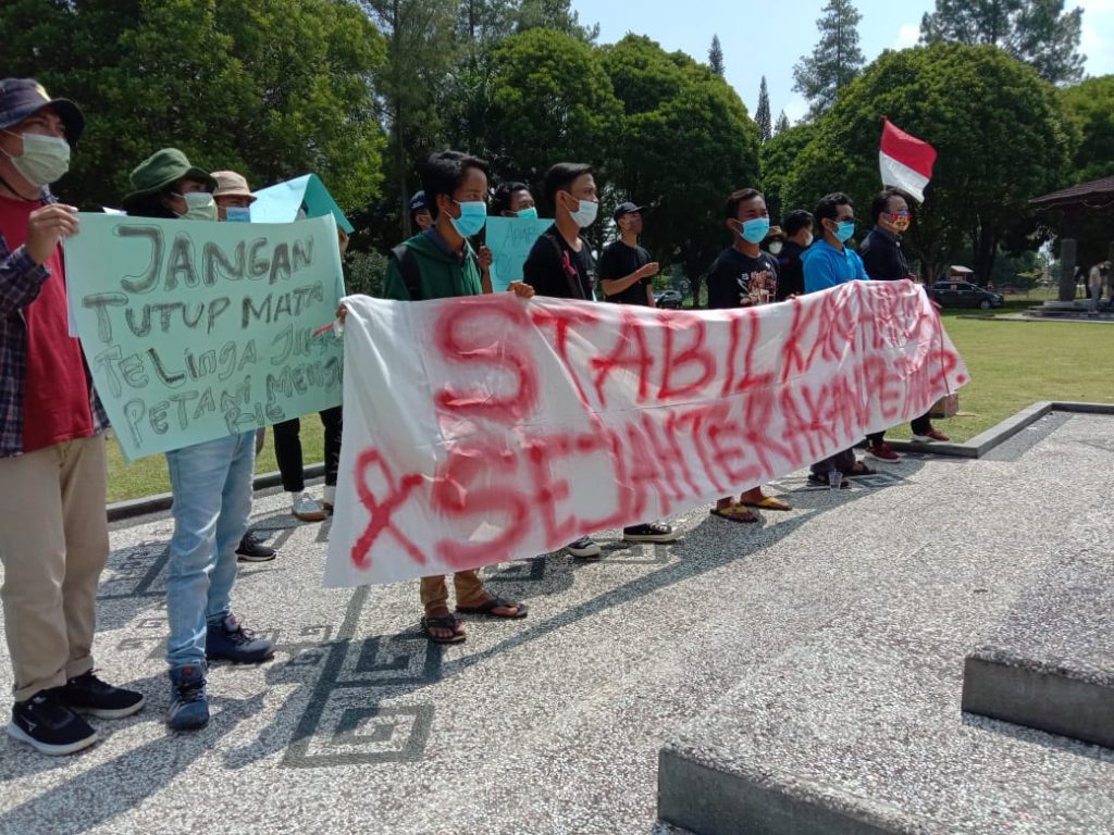 Masa Aliansi Pemuda Peduli Petani (APPP) Geruduk Kantor Bupati Lampung Barat Tuntut Kebijakan Atas Anjloknya Harga Sayuran