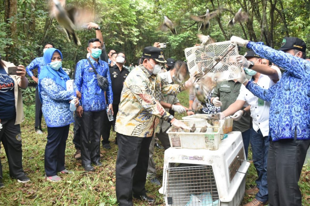 Azwar Hadi ; Masih Ada Aktivitas Ilegal Di Kawasan Konservasi