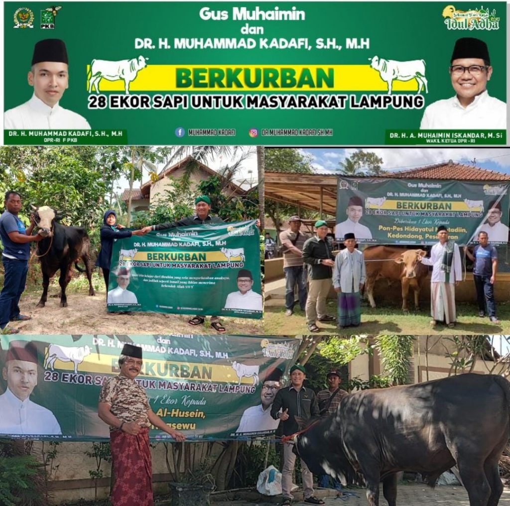 Gus Muhaimin & Kadafi Bagikan 28 ekor Sapi untuk Masyarakat Lampung