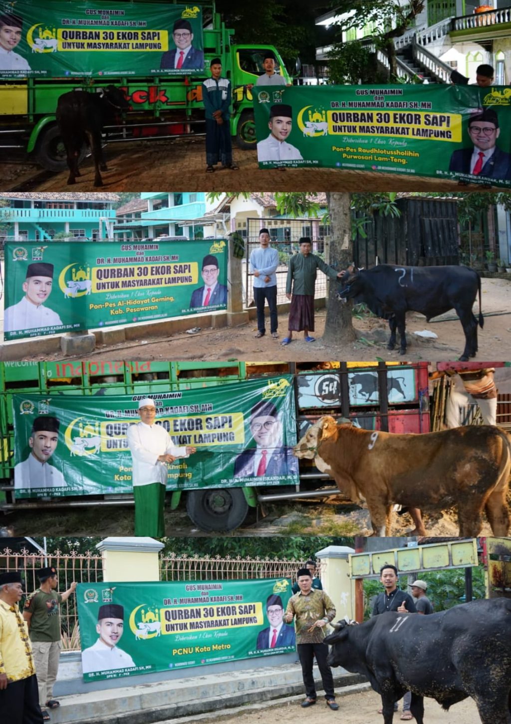 Gus Muhaimin & M. Kadafi Qurban 30 Ekor Sapi untuk Masyarakat Lampung