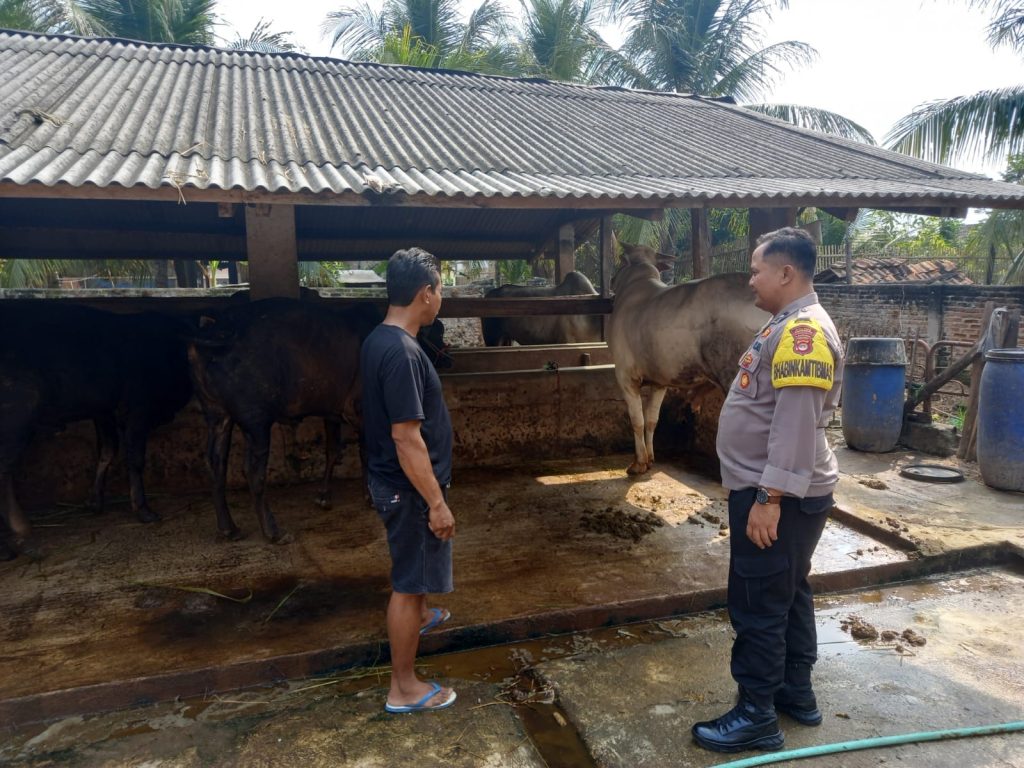 Menjelang Hari Raya Idul Adha, Polres Pringsewu Aktif Mengimbau Masyarakat untuk Waspada Terhadap Pencurian Ternak