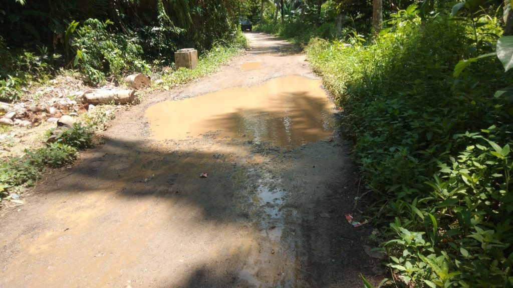 Kondisi Jalan Menuju Dusun Sinar Baru dan Pedukuhan Cadas Sari di Tanggamus Memprihatinkan, Warga Mengeluh